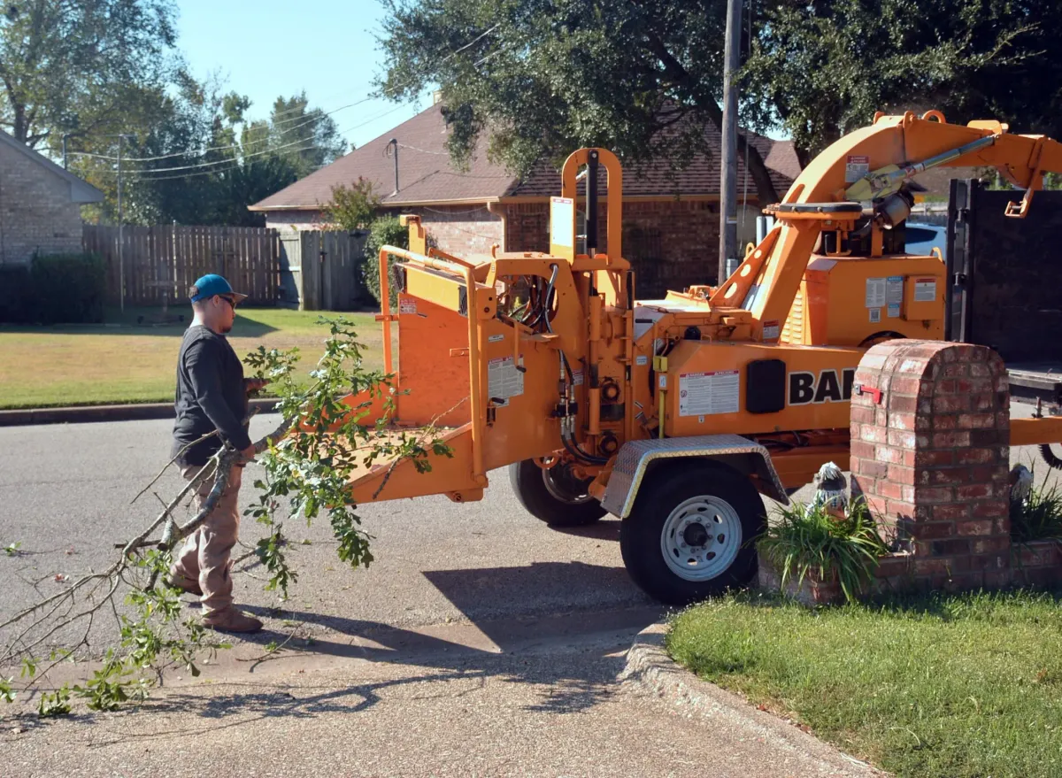 A tree service crew feeding branches into a wood chipper in a residential driveway